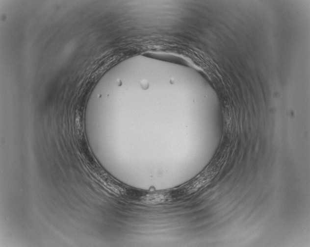 X0000071850418200607290137