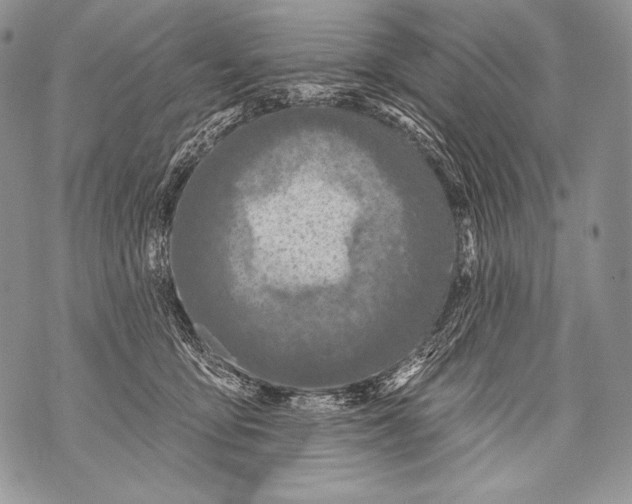 X0000071850419200607290137