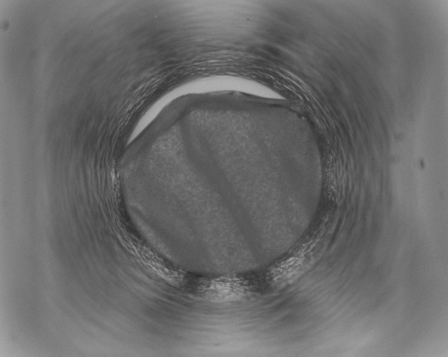 X0000071850420200607290137