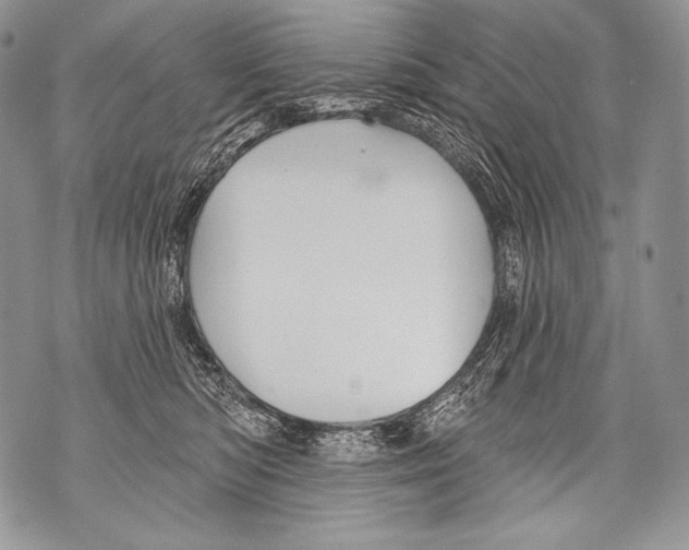 X0000071850422200607290137