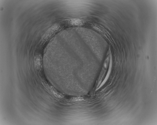 X0000071850424200607290137