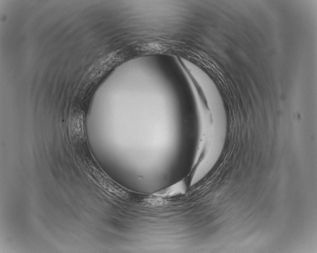 X0000071850425200607290137