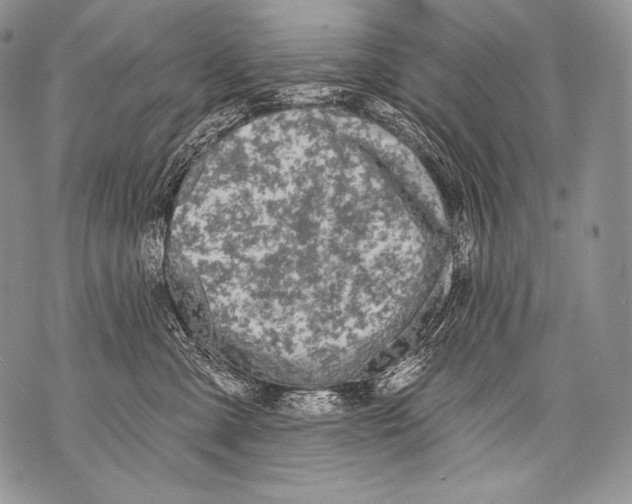 X0000071850427200607290137