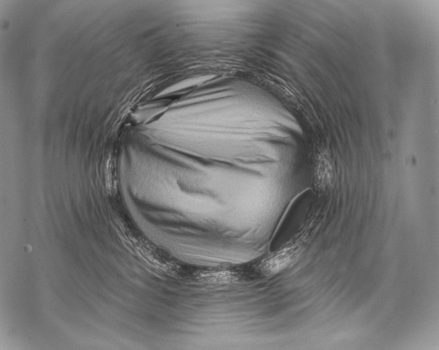 X0000071850428200607290137