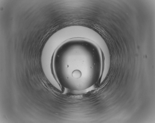 X0000071850429200607290137