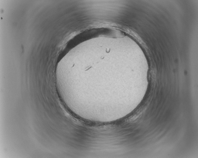 X0000071850433200607290136