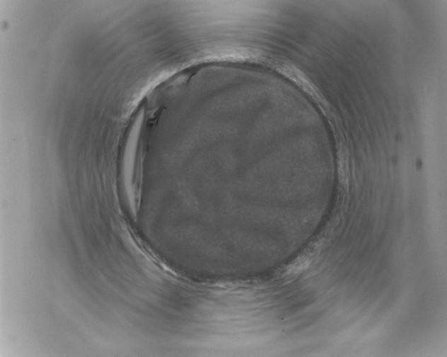 X0000071850434200607290136