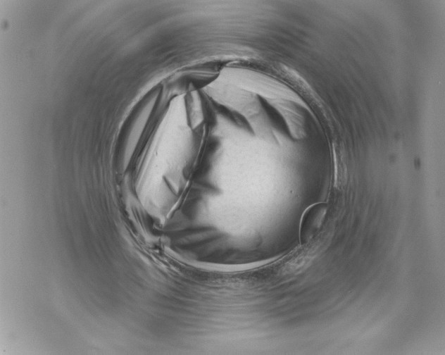 X0000071850435200607290136