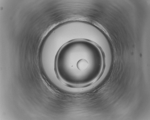 X0000071850436200607290136