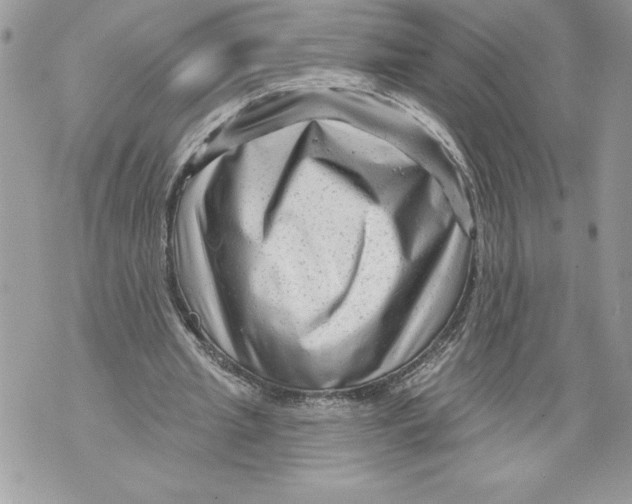 X0000071850437200607290136