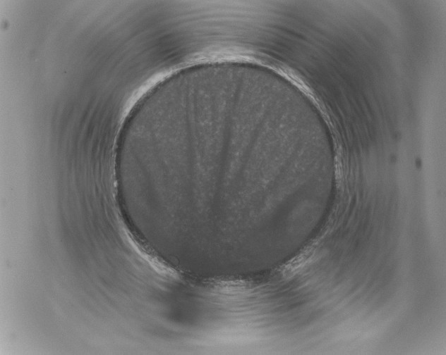 X0000071850438200607290136