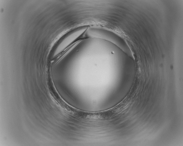 X0000071850440200607290136