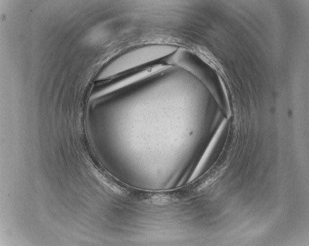 X0000071850441200607290136