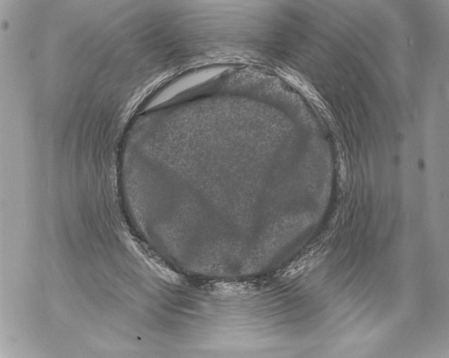 X0000071850442200607290136