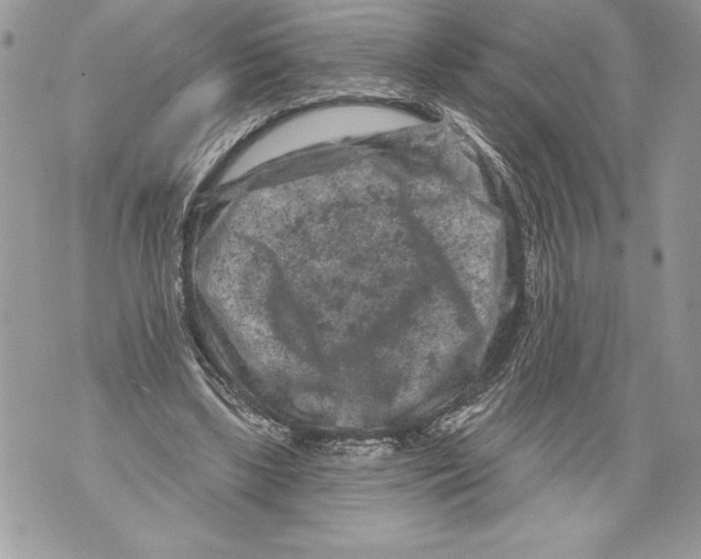 X0000071850443200607290136