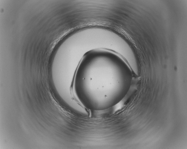 X0000071850444200607290136