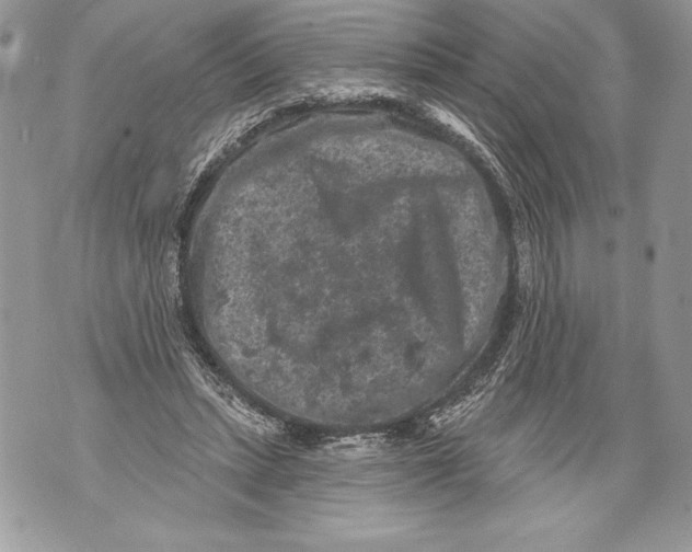 X0000071850447200607290136