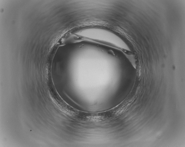 X0000071850448200607290136