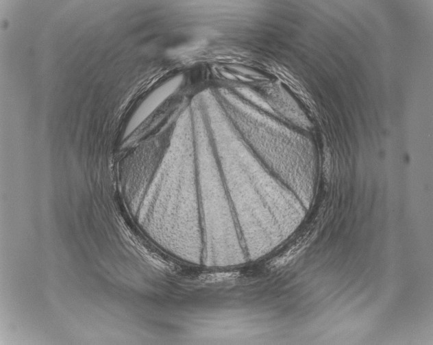 X0000071850449200607290136