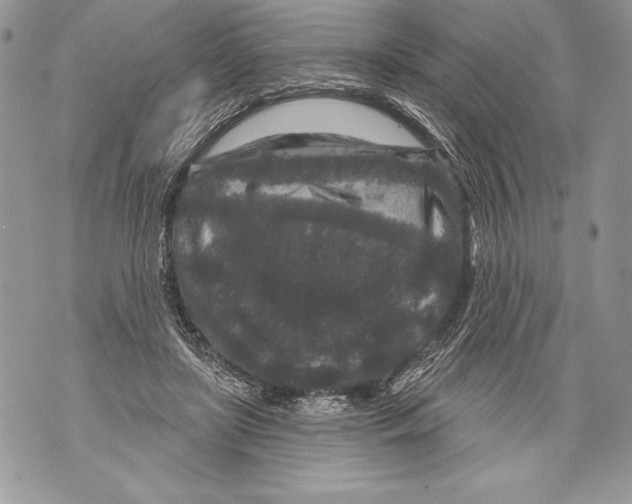 X0000071850451200607290136