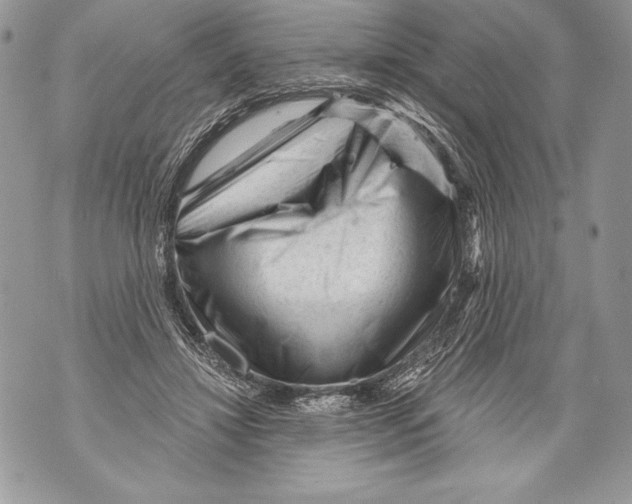 X0000071850452200607290136