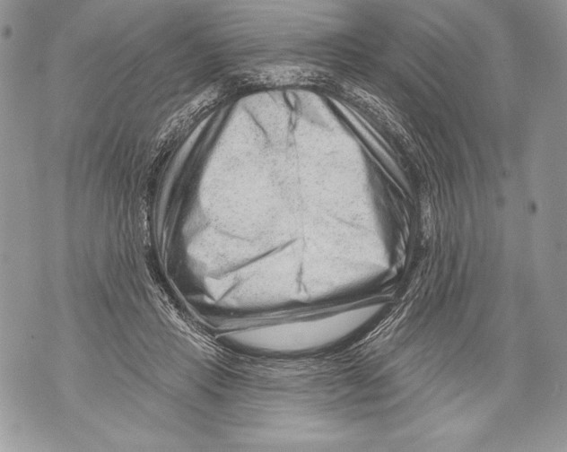 X0000071850453200607290136