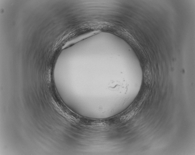 X0000071850454200607290136