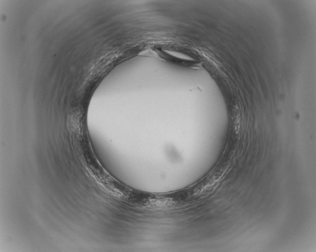 X0000071850455200607290136