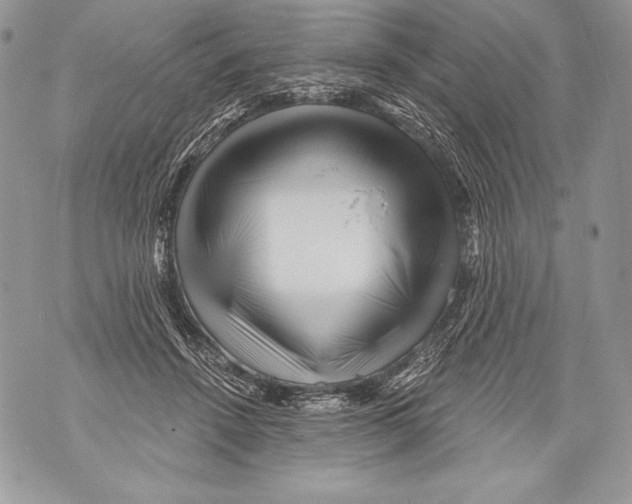 X0000071850456200607290137