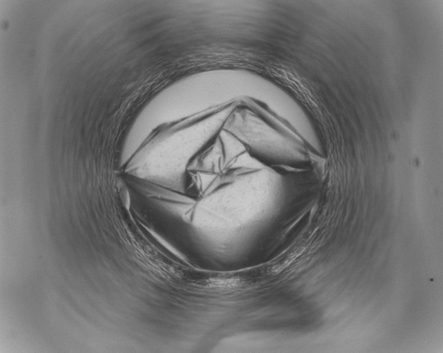 X0000071850457200607290137