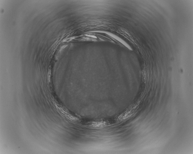 X0000071850458200607290137