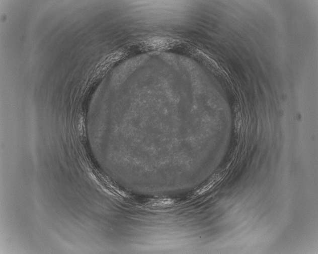 X0000071850459200607290137