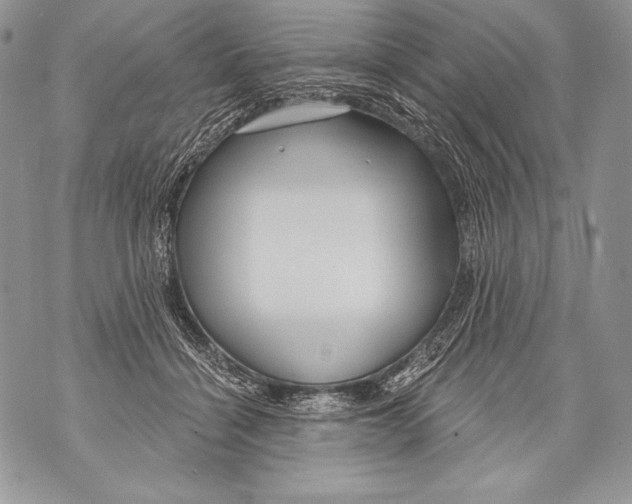 X0000071850460200607290137