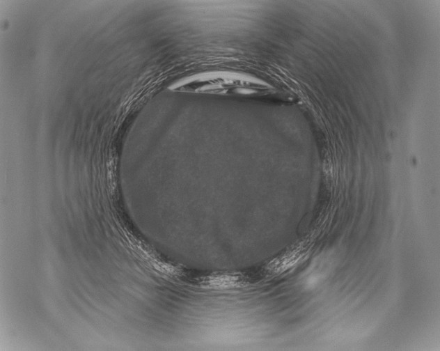 X0000071850462200607290137