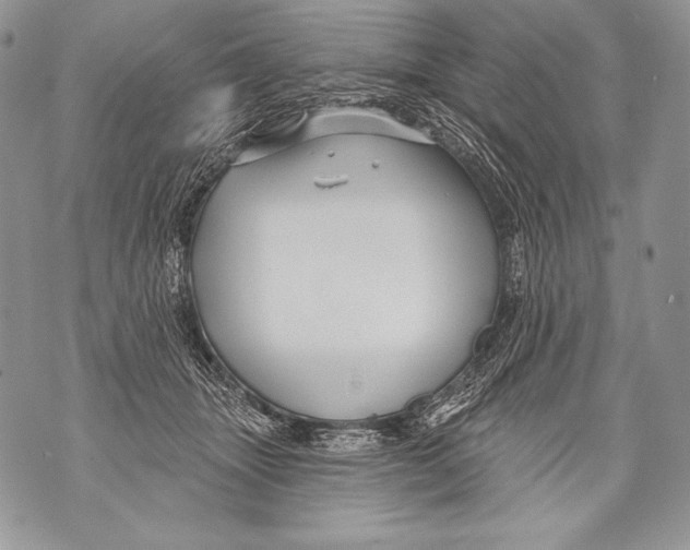 X0000071850463200607290137