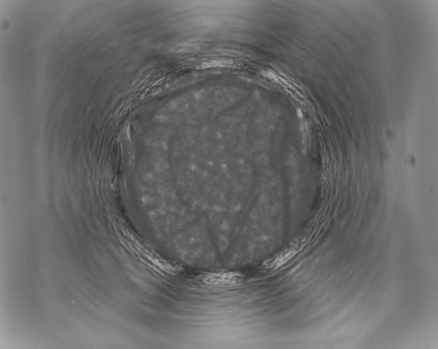 X0000071850465200607290137