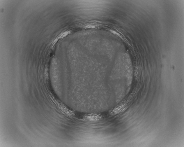 X0000071850466200607290137