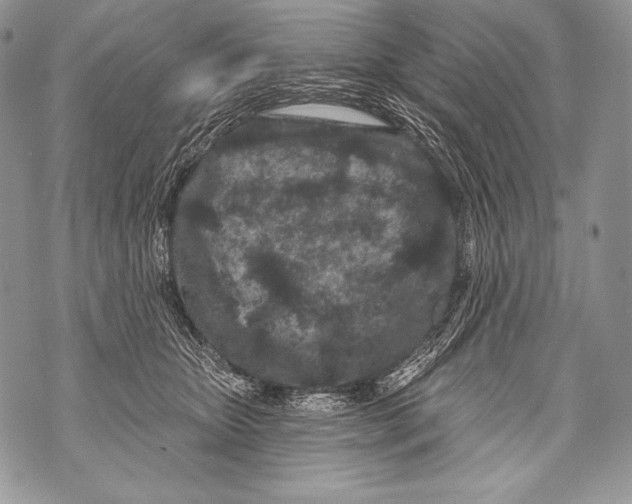 X0000071850467200607290137