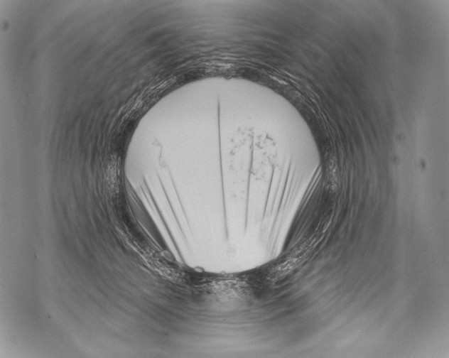 X0000071850468200607290137