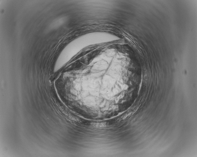 X0000071850469200607290137