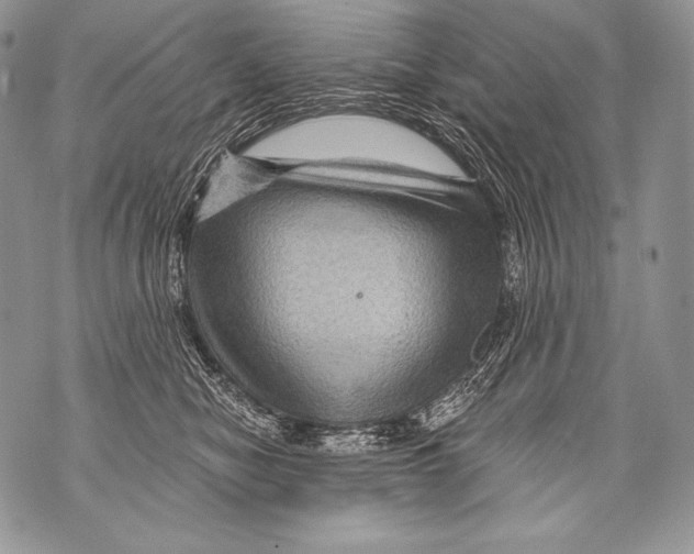 X0000071850470200607290137