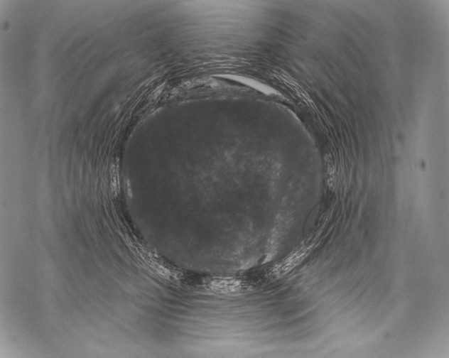 X0000071850471200607290137