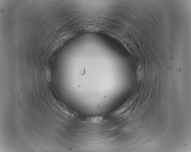 X0000071850474200607290137