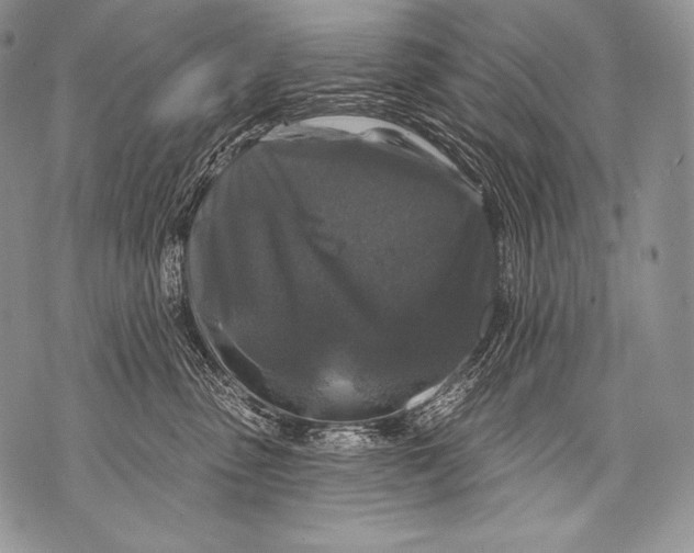 X0000071850475200607290137