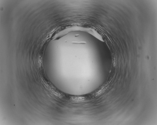 X0000071850476200607290137