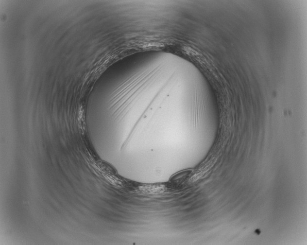 X0000071850480200607290137