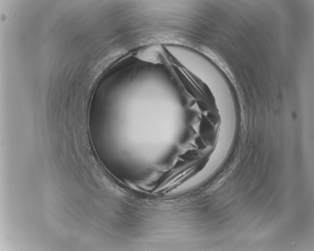 X0000071850481200607290136