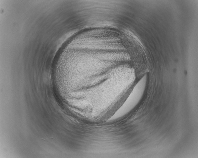 X0000071850483200607290136