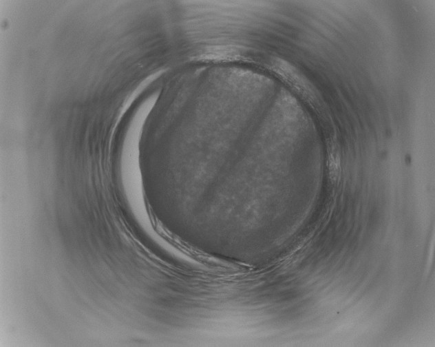 X0000071850484200607290136