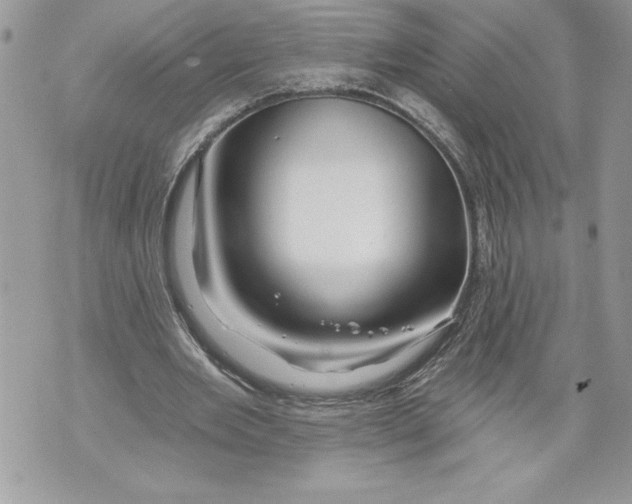 X0000071850485200607290136